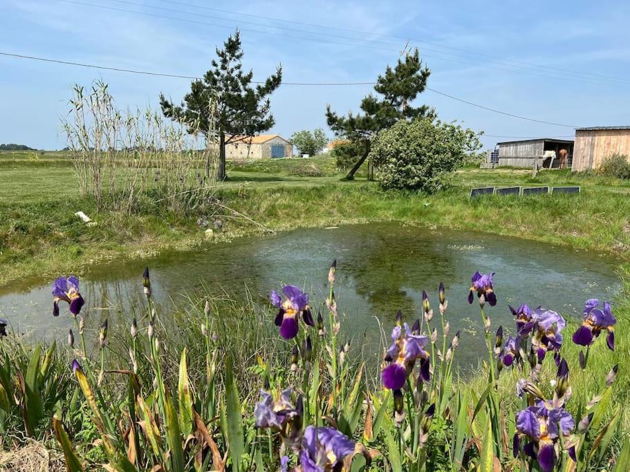 Maison De Charme Au Coeur Des Marais Pour 6 Pers. Bouin  Екстериор снимка